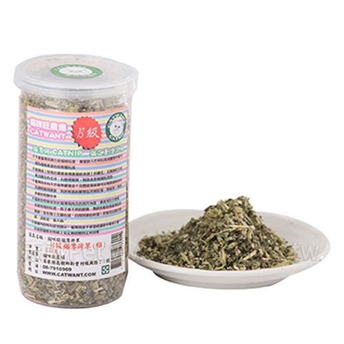 B級 - 貓薄荷草/粗 ( 30g )