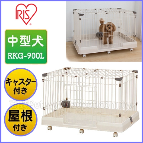 IRIS - RKG 狗籠白茶色