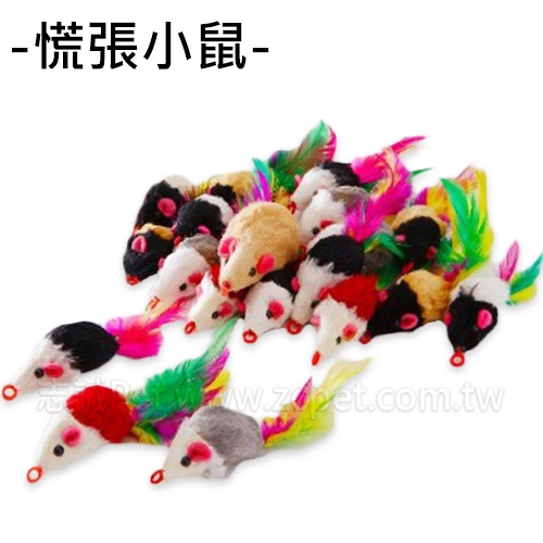 慌張小鼠 ( 1入 )
