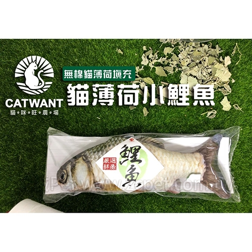 100%貓薄荷填充CWF-104-20 - 小鯉魚