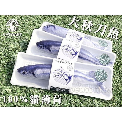 100%貓薄荷填充CWF-101-30 - 大秋刀魚