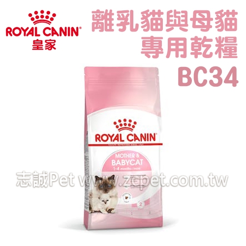 皇家 - BC34/離乳貓與母貓專用乾糧/離乳貓飼料 ( 2kg )