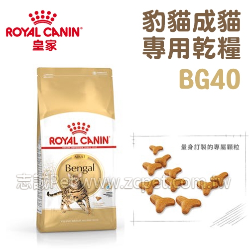 皇家 - BG40/豹貓成貓專用乾糧 ( 2kg )