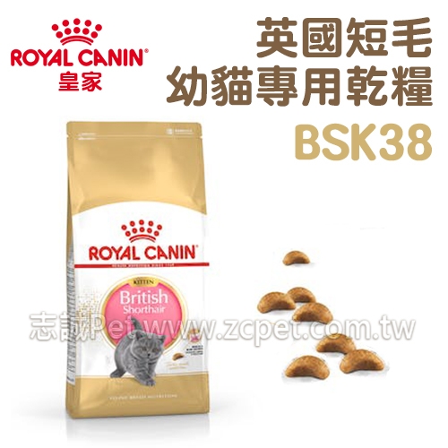 【預購】 皇家 - BSK38/英國短毛幼貓專用乾糧 ( 2kg )