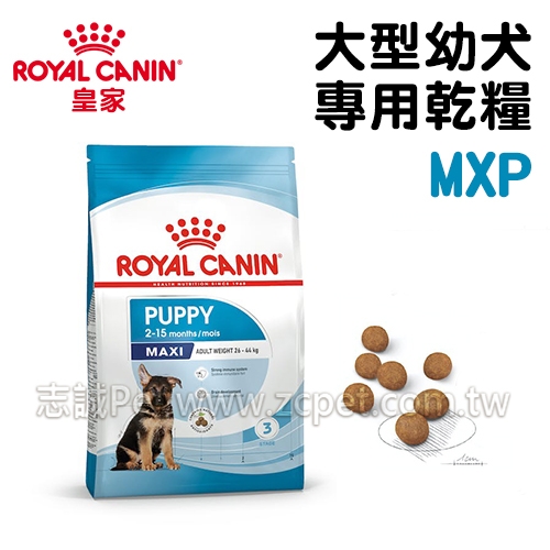 皇家 - MXP/大型幼犬 ( 10kg )
