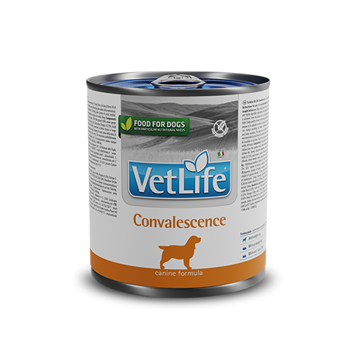 法米納 Vet Life - 犬用/高營養照護配方罐頭 ( 300g )