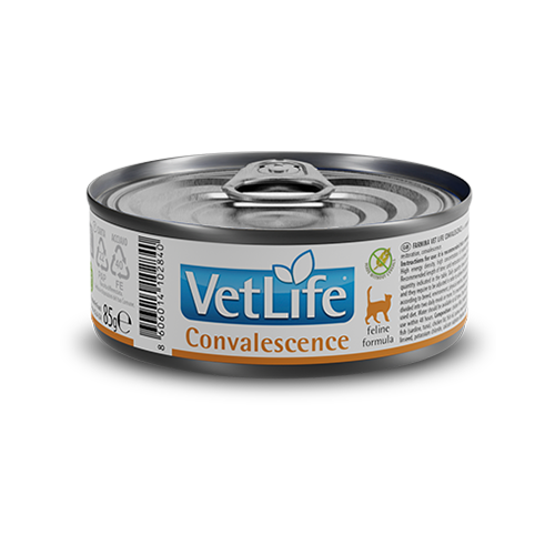 法米納 Vet Life - 貓用/高營養照護配方 ( 85g )