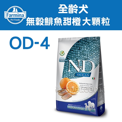N&D 法米納 -OD-4全齡犬/頂級無榖糧/鯡魚甜橙/潔牙大顆粒 ( 12kg )