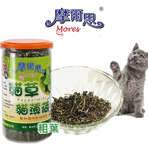 摩爾思 - 貓薄荷草/粗葉 ( 70g/罐 )