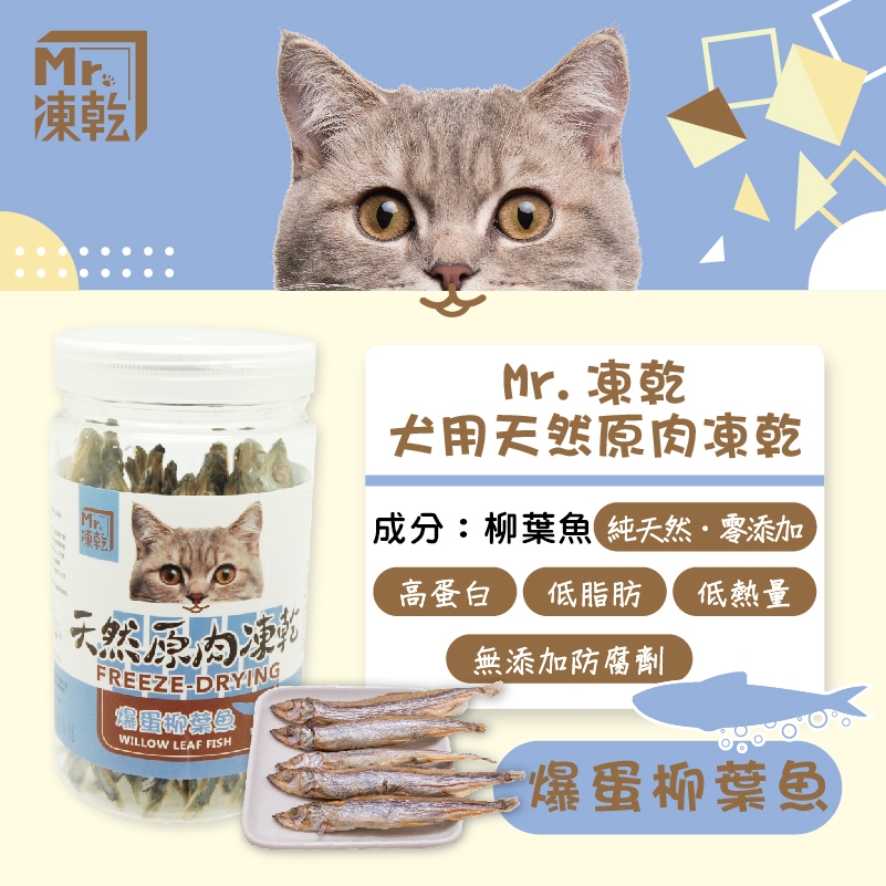 Mr.凍乾 - 貓用/爆蛋柳葉魚/天然原肉凍乾 ( 120g )