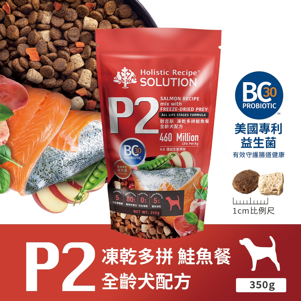 耐吉斯 - P2/乾多拚鮭魚餐/全齡犬飼料 ( 350g )