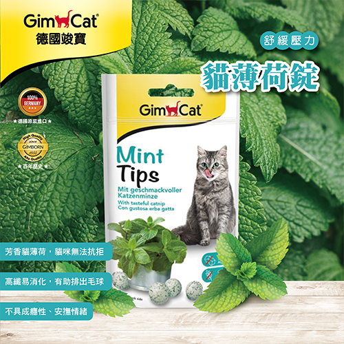 Gim cat 竣寶 - 貓薄荷錠 ( 40g )