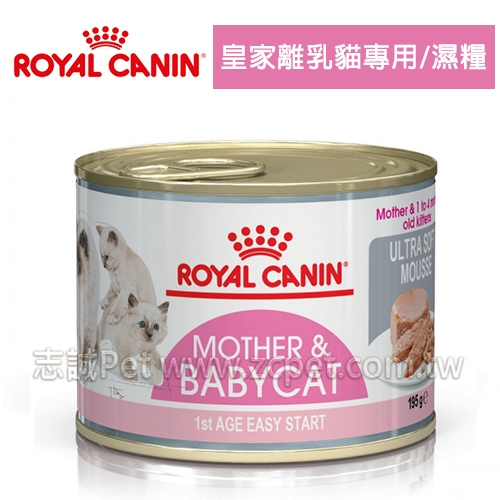 【原裝12罐】皇家 - BC34W/皇家離乳貓專用/濕糧 ( 195g*12罐 )